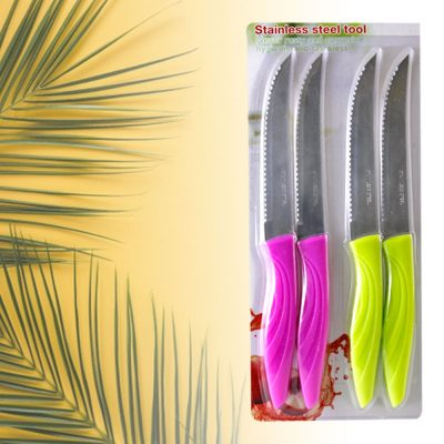 2Pcs Stainless steel knife Set, Polyethylene Handle - Multicolors 